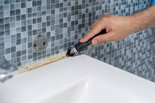 Best Black Mold Removal  in Minden, NV