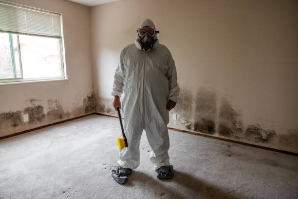 Best Certified Mold Removal  in Minden, NV